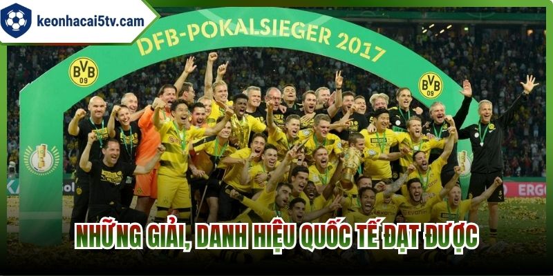 Những giải, danh hiệu quốc tế đạt được