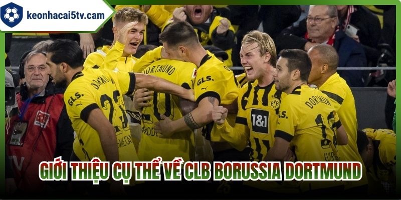 Giới thiệu cụ thể về CLB Borussia Dortmund