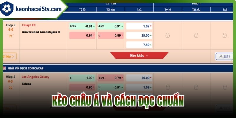 Kèo châu Á và cách đọc chuẩn