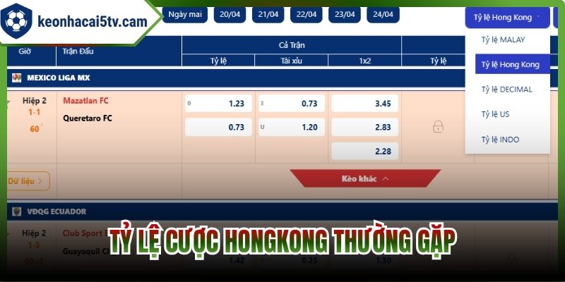 Tỷ lệ cược Hongkong thường gặp