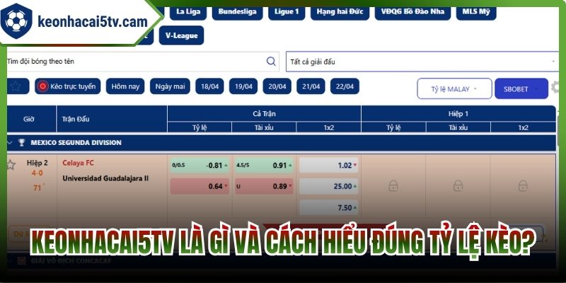 Kèo Nhà Cái 5tv là gì và cách hiểu đúng tỷ lệ kèo?